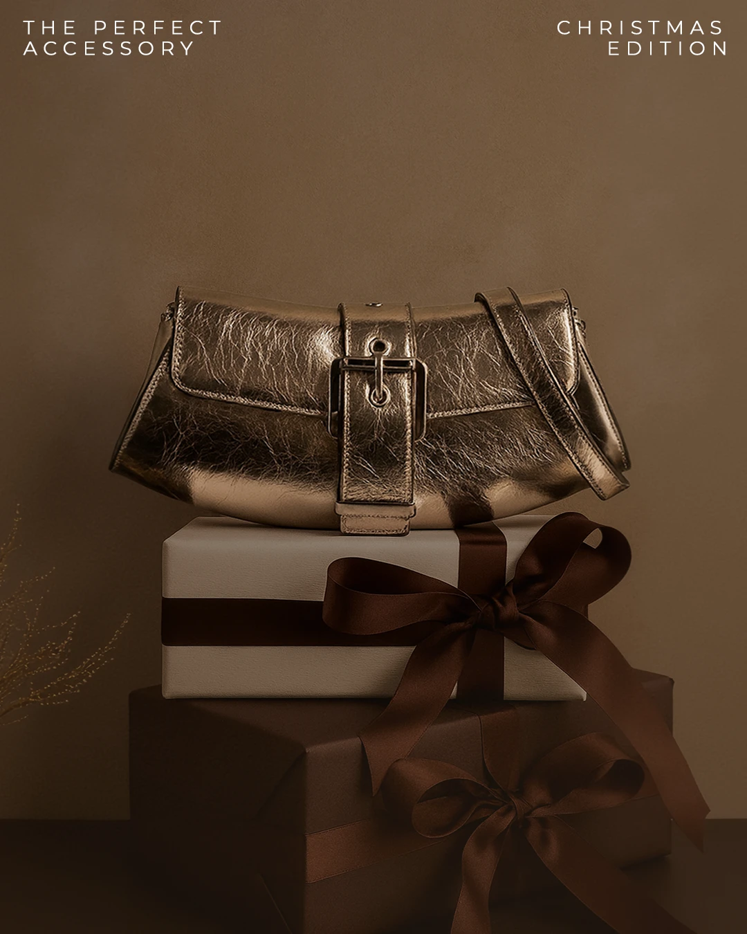 Pepe Moll Christmas Responsive